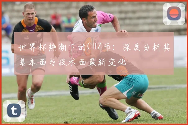 世界杯热潮下的CHZ币：深度分析其基本面与技术面最新变化