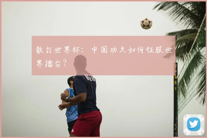 散打世界杯：中国功夫如何征服世界擂台？