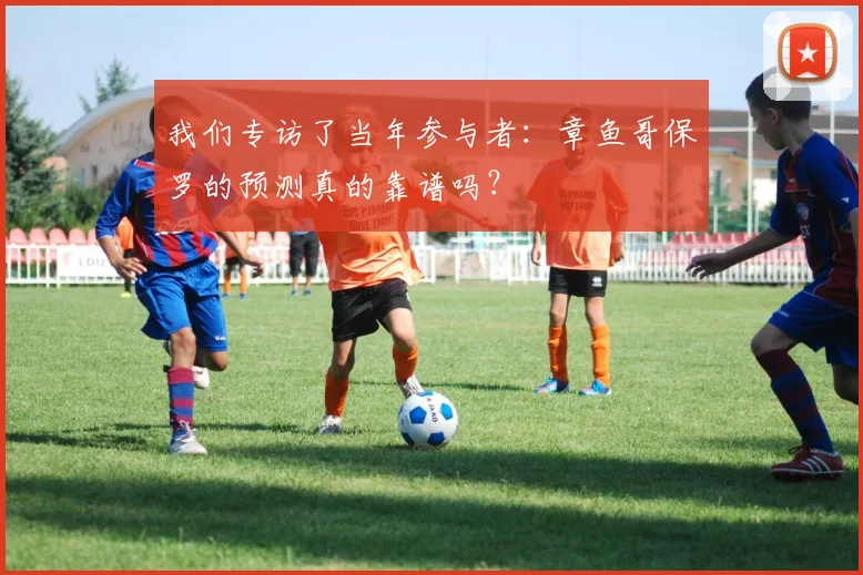 我们专访了当年参与者:章鱼哥保罗的预测真的靠谱吗?