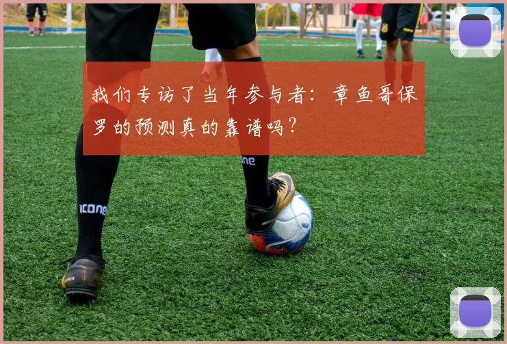 我们专访了当年参与者:章鱼哥保罗的预测真的靠谱吗?