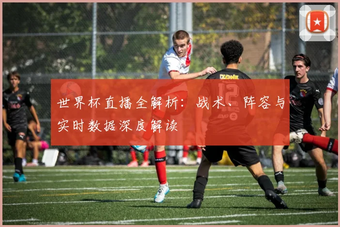 世界杯直播全解析：战术、阵容与实时数据深度解读