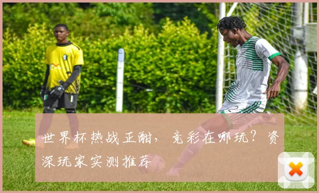 世界杯热战正酣，竞彩在哪玩？资深玩家实测推荐