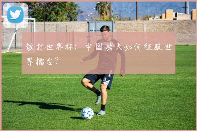 散打世界杯：中国功夫如何征服世界擂台？