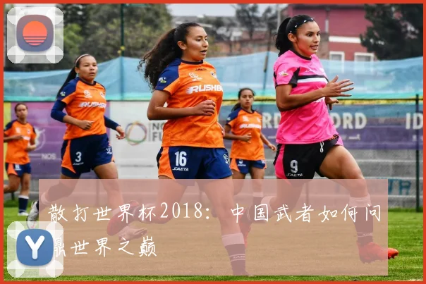 散打世界杯2018:中国武者如何问鼎世界之巅