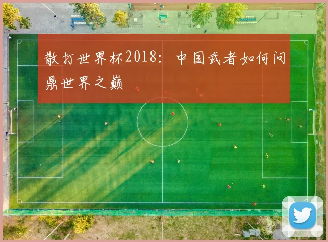 散打世界杯2018:中国武者如何问鼎世界之巅