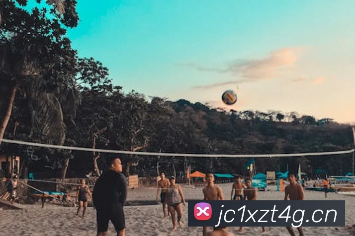 App Interface Preview